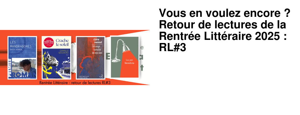 Vous+en+voulez+encore+?+Retour+de+lectures+de+la+Rentr�e+Litt�raire+2025+:+RL#3